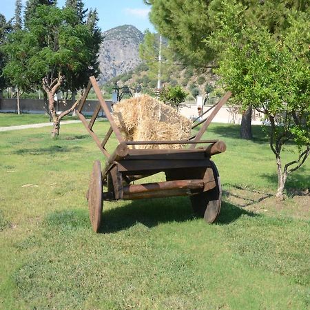 Oasis Apart Hotel Dalyan Exterior foto